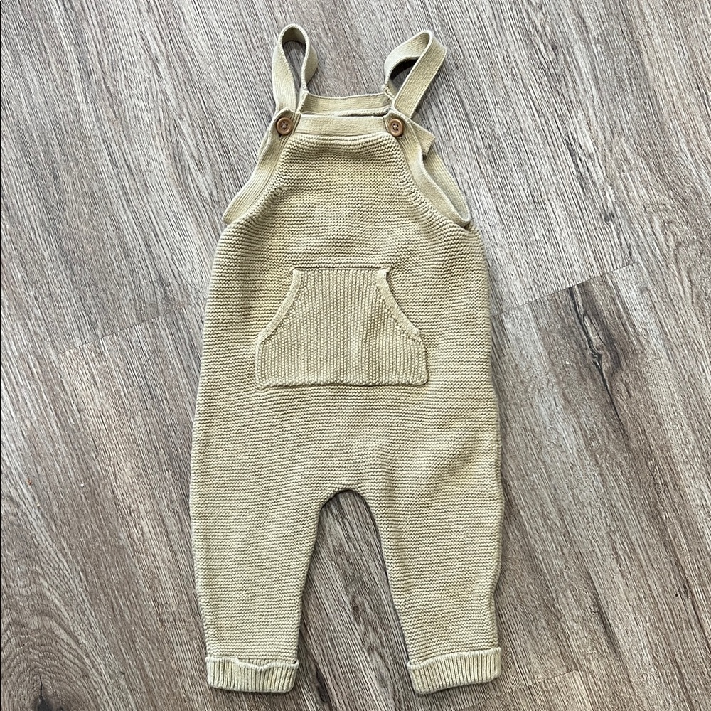 little planet organic overalls 9 months